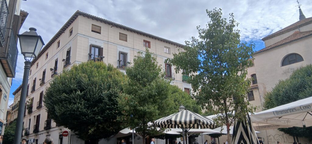 Plaza de San Ildefonso en el barrio de Malasaña, con terrazas, árboles y edificios tradicionales en un día soleado.